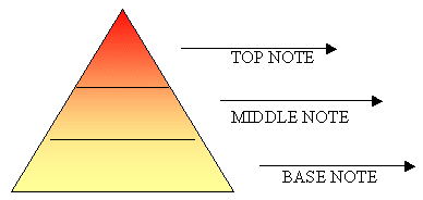 Top, Middle, Base Notes Pyramid